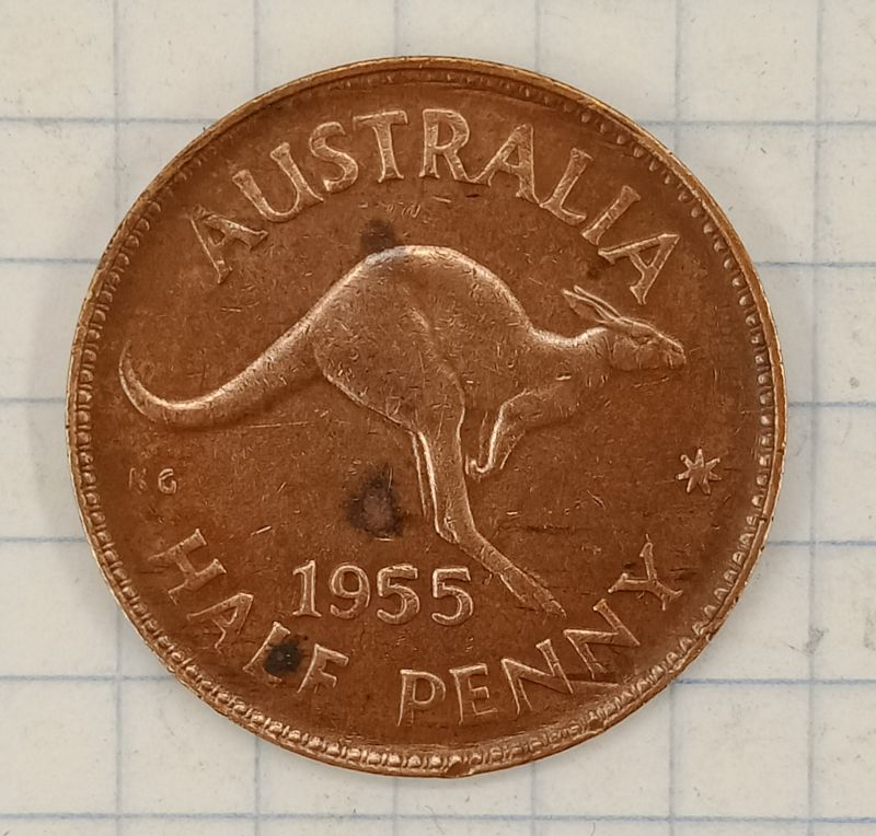 ½ ����� 1955 ���������
