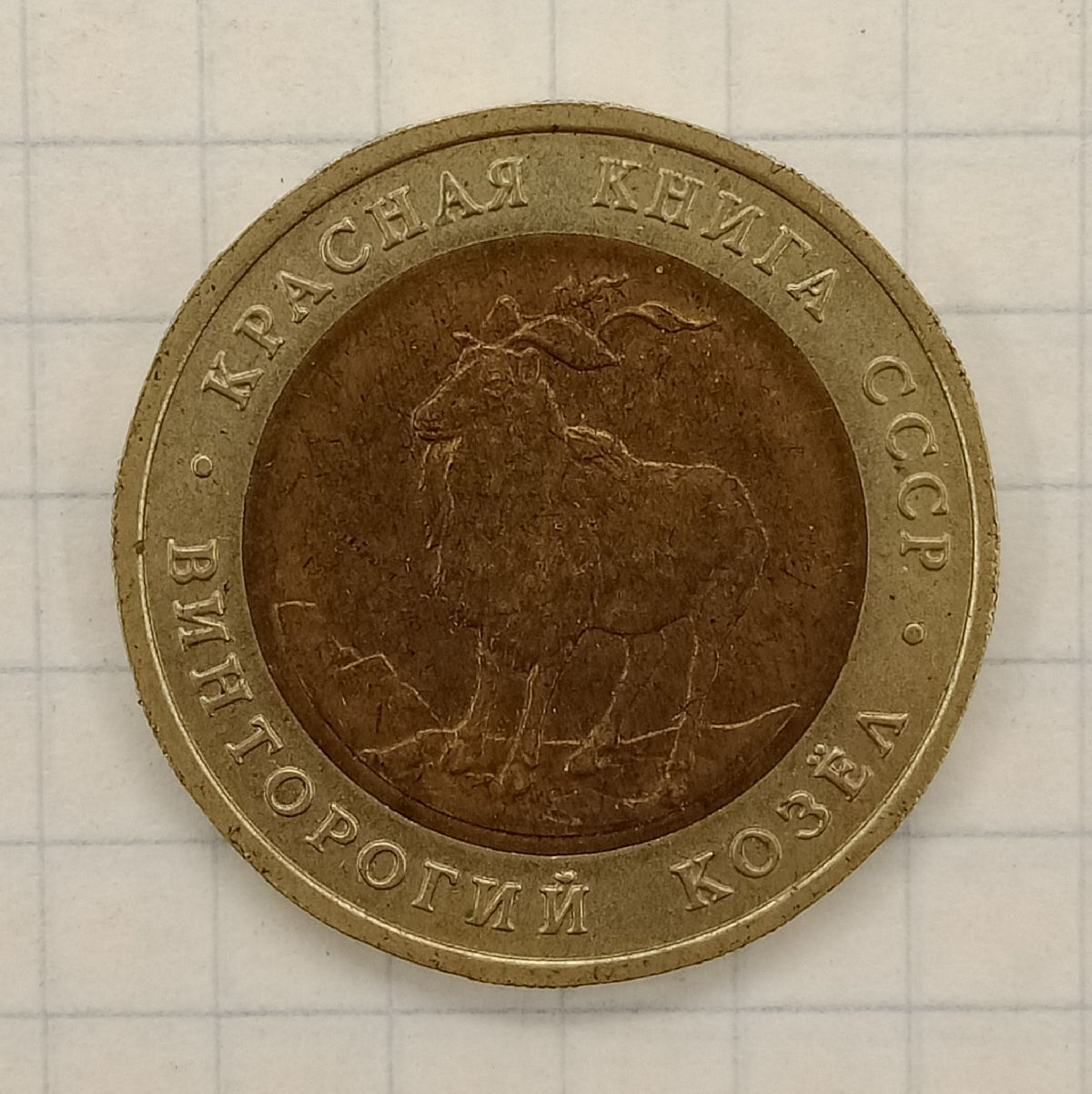 5 ������ 1991 ��� ���������� �����
