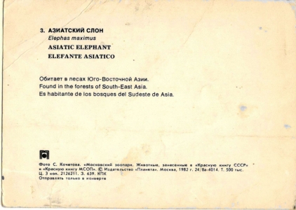 ��������� ����.1982 �. �. �������